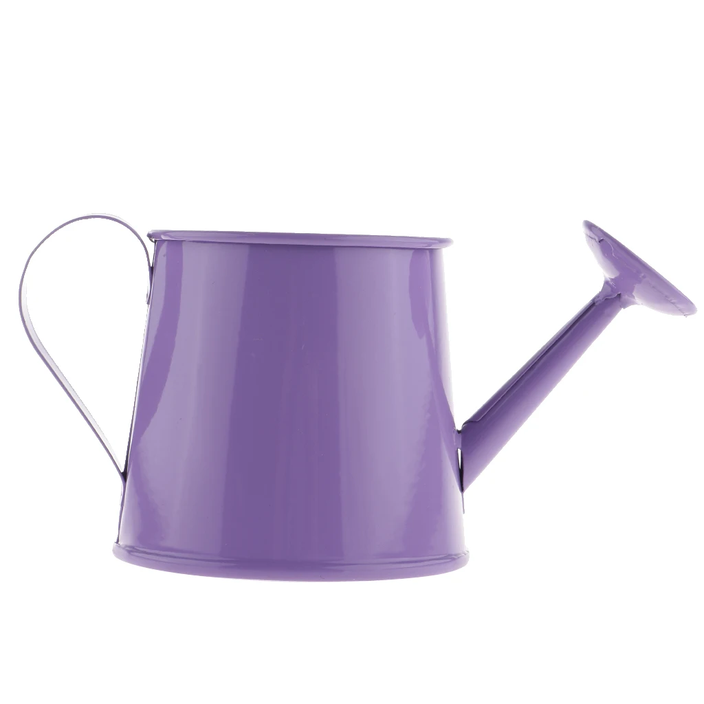 Mini Metal Iron Watering Can, Iron Pitcher Flower Vase, Garden Flower Pot Plant Planter Home Decor