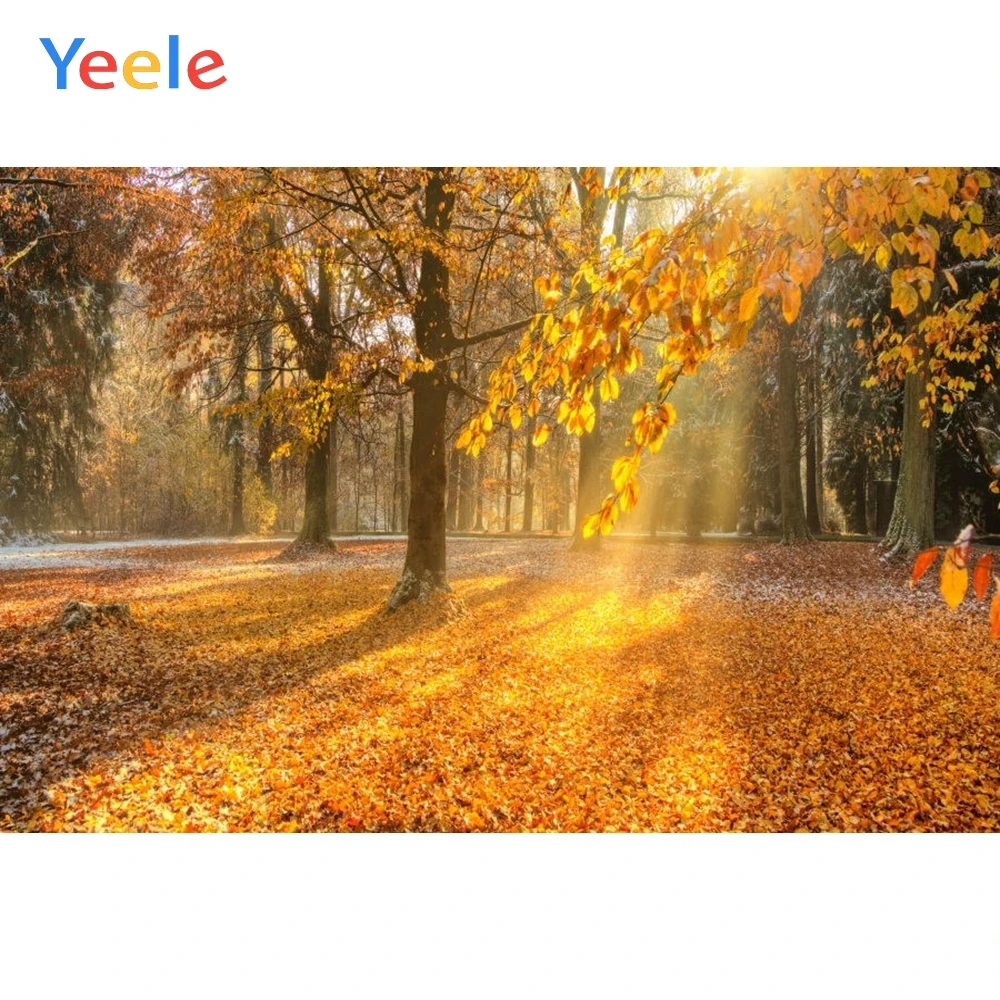 

Yeele Autumn Backdrop Forest Yellow Tree Leaves Natural Scenery Newborn Baby Photography Background Custom For Photo Studio
