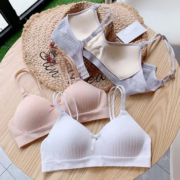 

Seamless Bras For Women Push Up Bra Sexy Lingerie A B Cup Push Up Underwear Plus Size Wireless Bralette Adjustable Brassiere