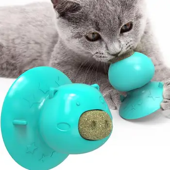 

Cat Toy Cat Catnip Ball Toy Molar Tool Teeth Cleaning Durable Healthy Improves Appetite Pet Toy Attached To Wall Pet Supplies