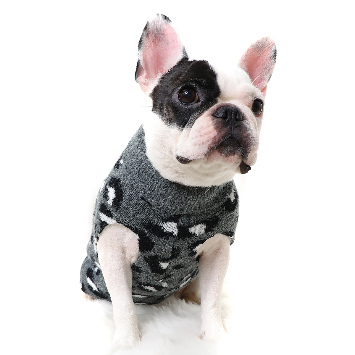 Dog knitwear Clearance