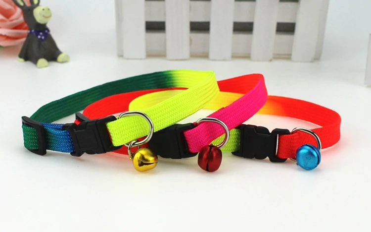 dog collars (10)