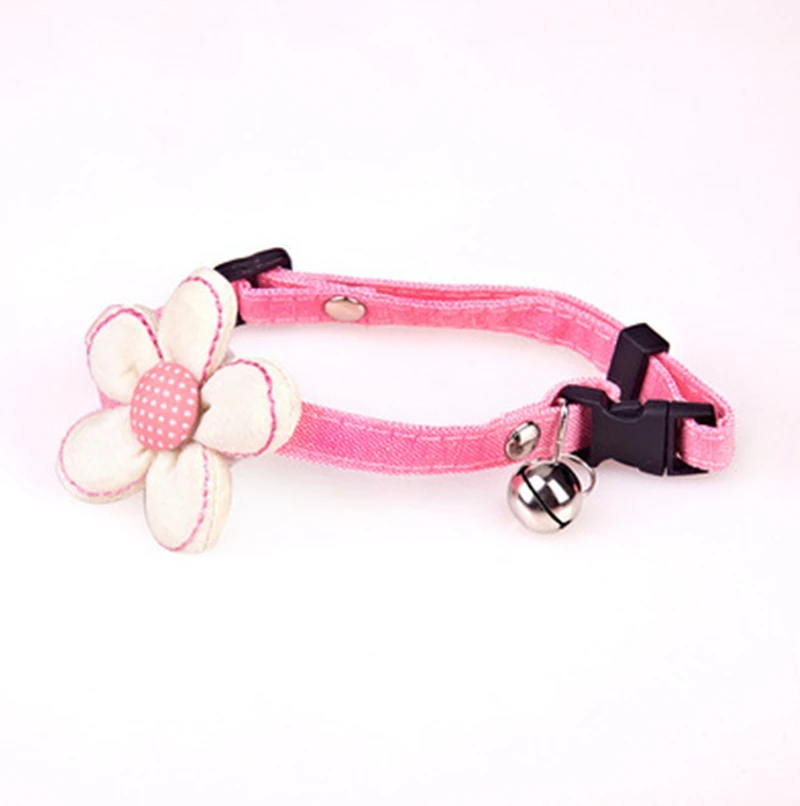 12263360533_1331669165