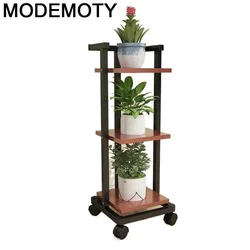 Pot de décoration d'intérieur pour Jardin, étagère pour plantes et fleurs 
