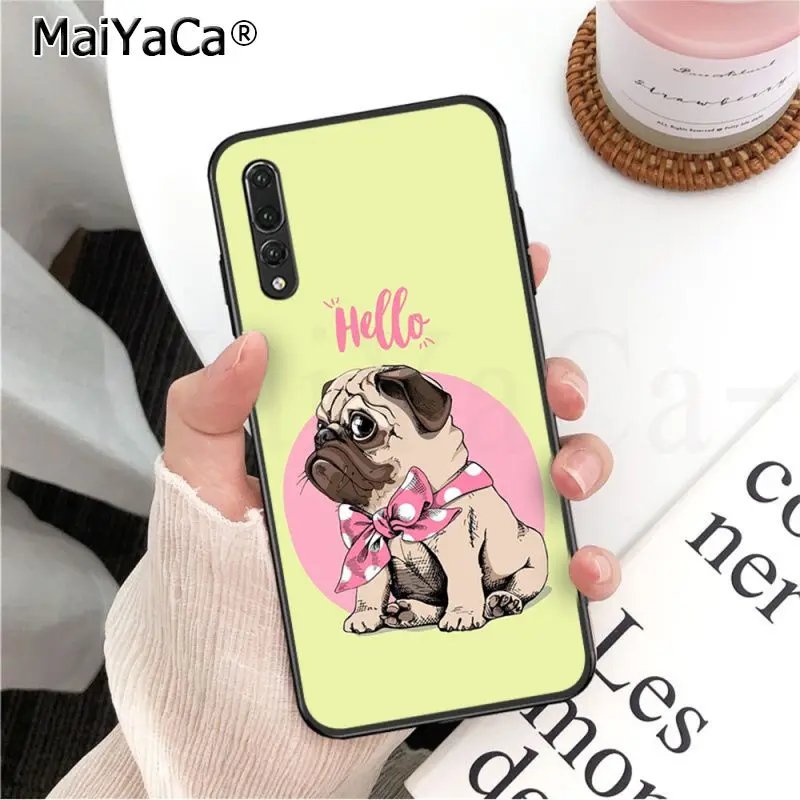 Frenchies Pretty puppy Pug Bulldog