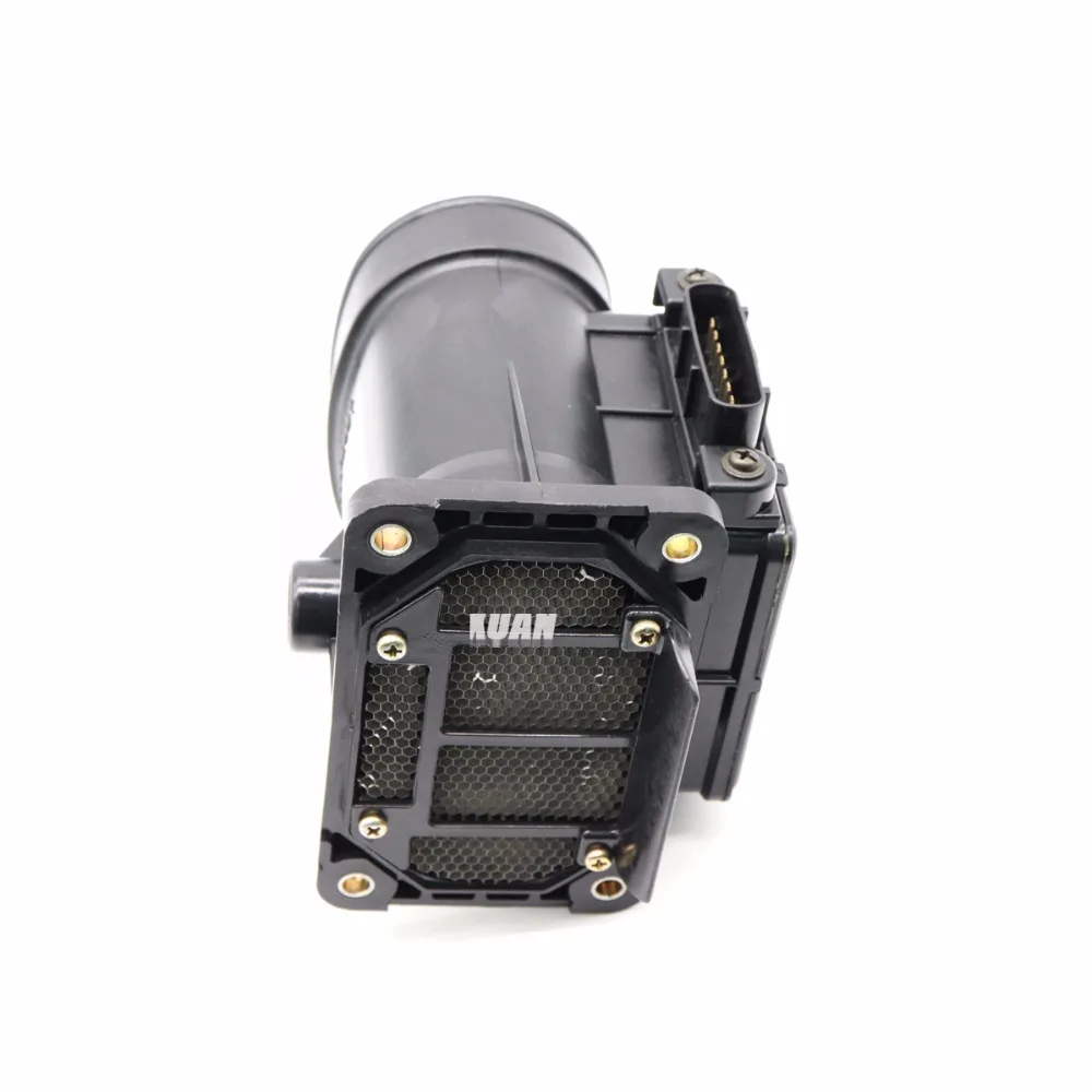 E5T06071 (5)