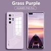 Grass Purple