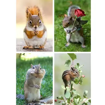 

2020 New 4 Pack Squirrel 5D DIY Diamond Painting Kits Full Drill Rhinestone Embroidery