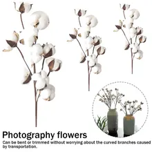 Естественно сушеные из материала на основе хлопка с цветочной искусственные растения Цветочная отделка для Свадебная вечеринка Декоративные искусственные цветы для украшения дома