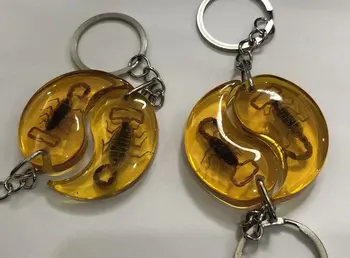 

10 pcs Brown Scorpion Insect KeyChain Taxidermy Display