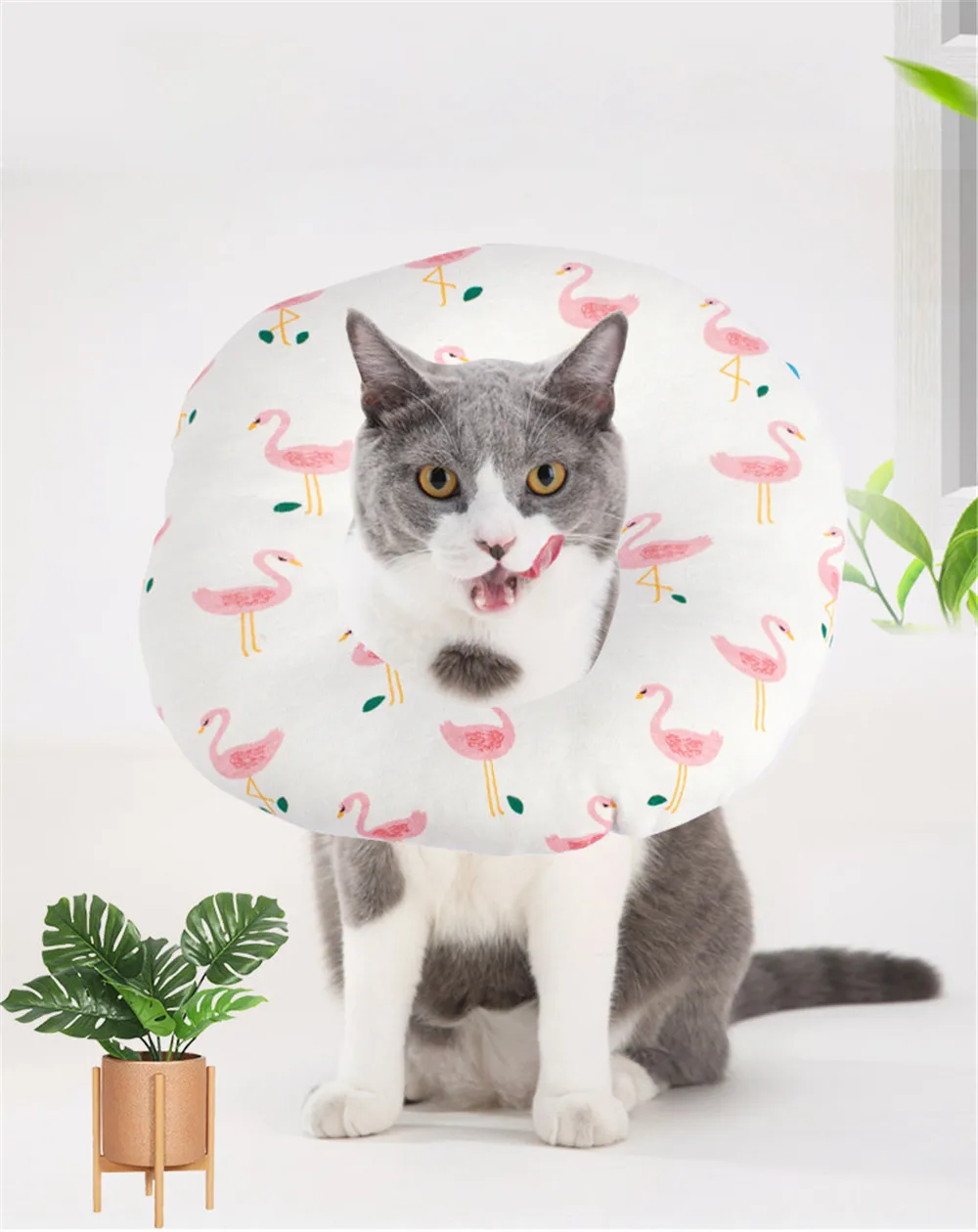 soft e collar for rabbits