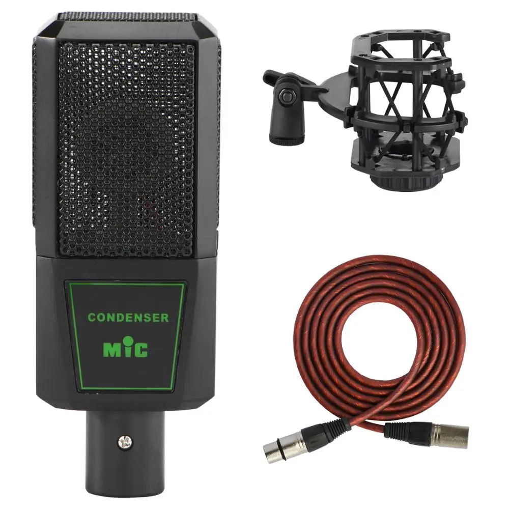 FREEBOSS CM 12 48 В фантомное питание трансляция Поющая студия запись хор чат вокал