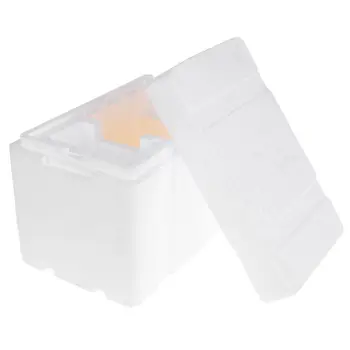 

Bee Hive Beekeeping King Box Pollination Box Foam Frames Beekeeping Tool Kit LX9C