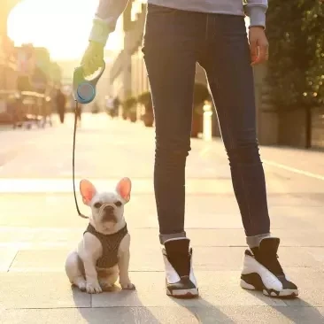  Xiaomi Mijia Youpin PetKit Streamer Telescopic Traction Rope White Touch Operation Colorful Streame