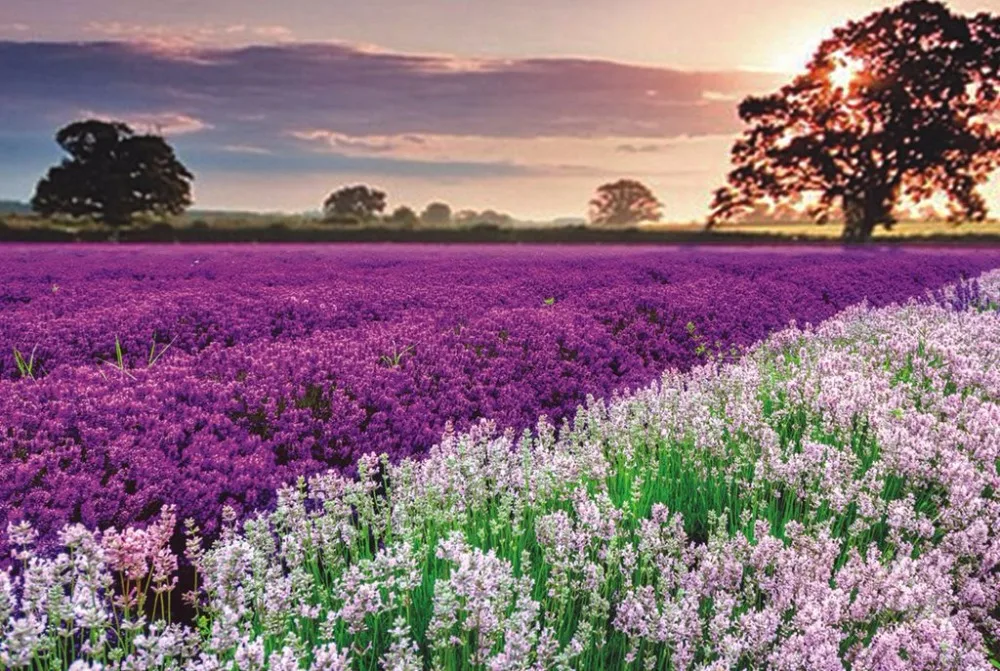 jigsaw Puzzle 16
