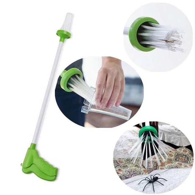 Attrape-insectes Manuel, Piège À Araignées, Piège À Insectes, Piège Humain  Pour Voyage, Outils De Lutte Antiparasitaire - Pièges - AliExpress