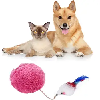 

Practical Magic Roller Ball Toy For Dog Cat Nontoxic Safe Automatic Roller Ball Magic Ball Dog Cat Pet Interactive Toy