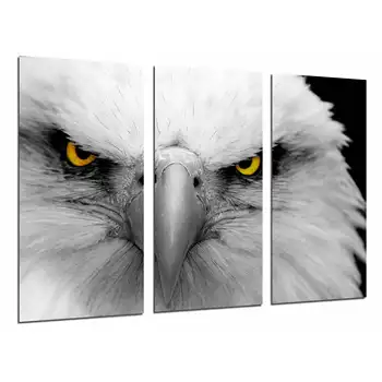 

Animal Eagle Imnperial White, Yellow Eyes, photo print on wood, modern picture decorative 26813