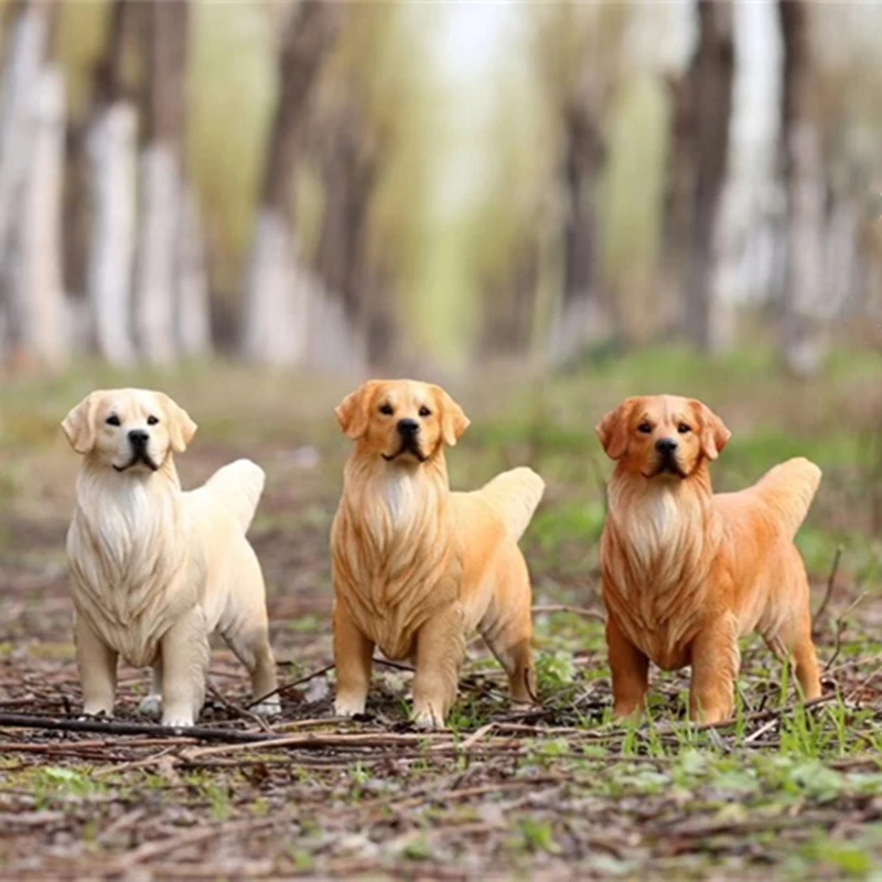 

Mr.Z 1/6 Golden Retriever Loyal Dog Pet Figure Animal Model Decor Toy Desktop Ornaments for Children Adults Kids Xmas Gift