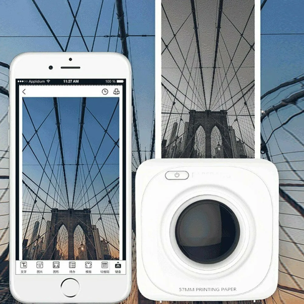 297714_no-logo_297714-5-05