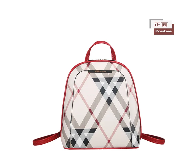 FERAL CAT 2018 New Fashion Women Backpack High Quality Pu Leather Backpacks Bags For Lady21