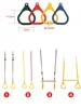 Kids Swings Rings Outdoor Playground Games Pull Ring Gym Rings For Kids Boy Girl Arm Training Pull Up Ring Sports Indoor Swing 4
