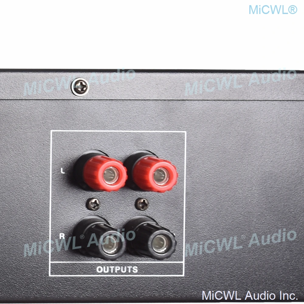 MiCWL Bluetooth 1100W 2 Channel Digital Power