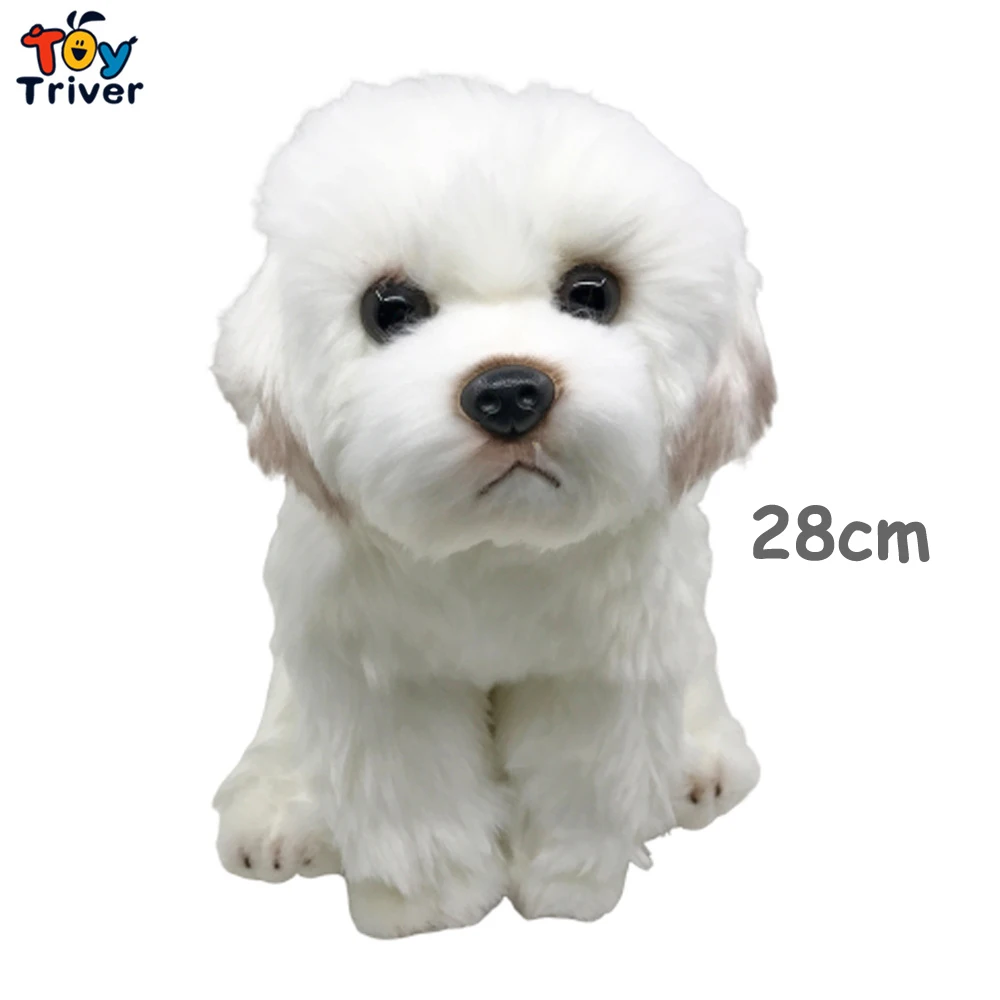 28cm Maltese