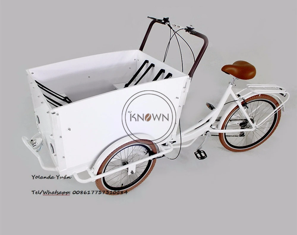 triciclo con remolque para niños