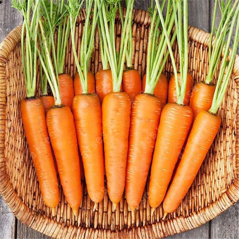 100 Pcs Carrot