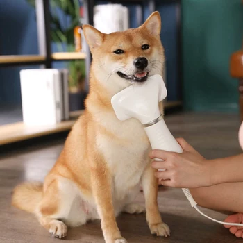 

Pet Hair Dryer Comb Pet Dog Cat Massage Quiet Grooming Machine Anion Wind Dryer Dog Cat Auto Straight Hair Comb