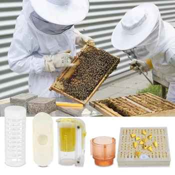 

Queen Rearing Box Queen Rearing System Beekeeper Supplies Hive Tool Set Beekeeping Equipment