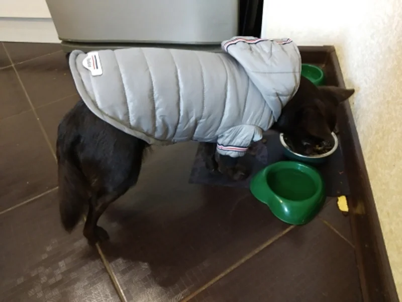 6_R%IDI@PS{2K0OL4{I54I9