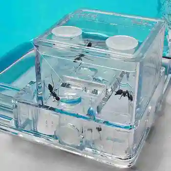

DIY Large Acrylic Ant Farm with Feeding Area Big Ants House Ant Nest Villa Insect Pet Anthill Workshop