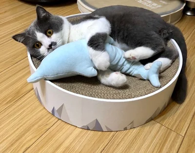 Xiaomi милый Дельфин дизайн кошка игрушка-грызунок с кошачьим котом котенок питомец Жевательная Кусачка Интерактивная Подушка кукольная зубная шлифовка