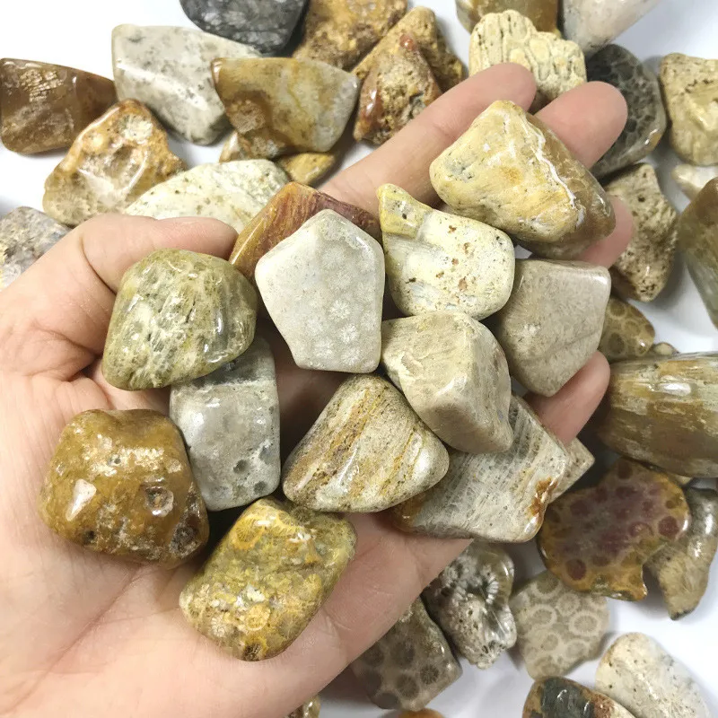 100g 15-40mm natural coral jade stone chrysanthemum stone gravel original stone landscaping decorative stone ornaments ore 100g 15-40mm natural coral jade stone chrysanthemum stone gravel original stone landscaping decorative stone ornaments ore