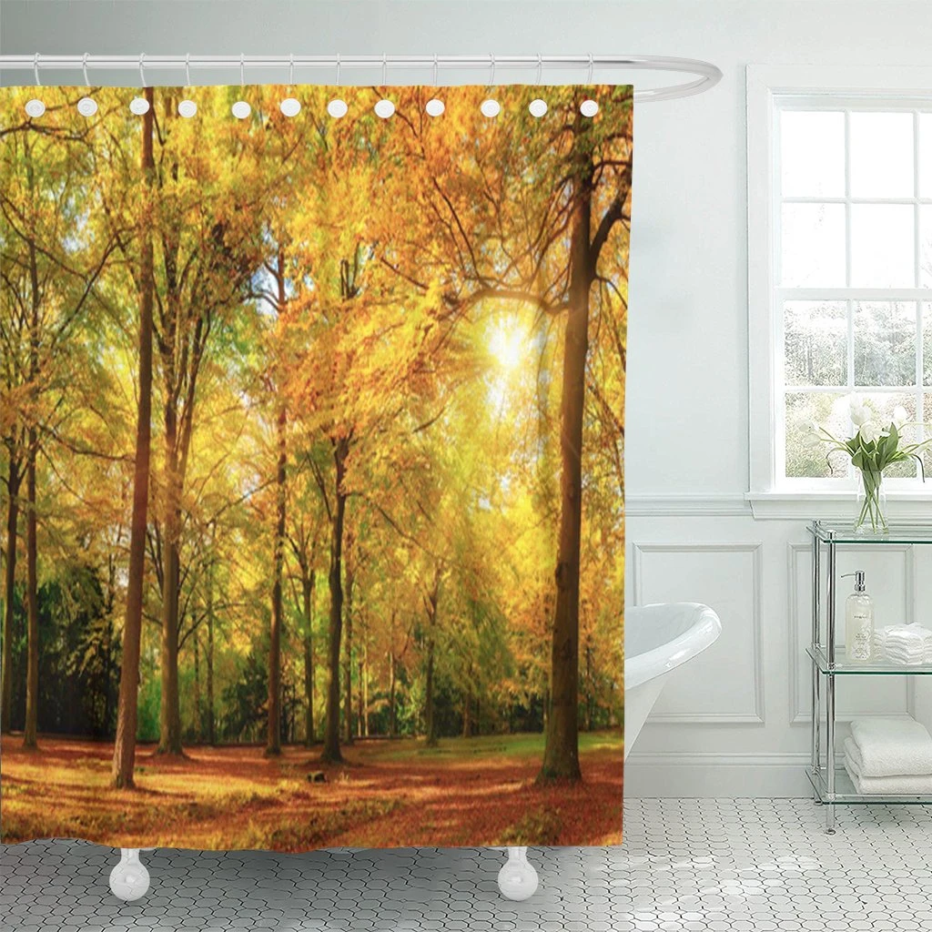 Shower Curtain Yellow Fall Gorgeous Autumn Landscape Panorama Of Scenic Forest With Lots Warm Sunshine Colorful Nature Curtain Shower Curtains Aliexpress