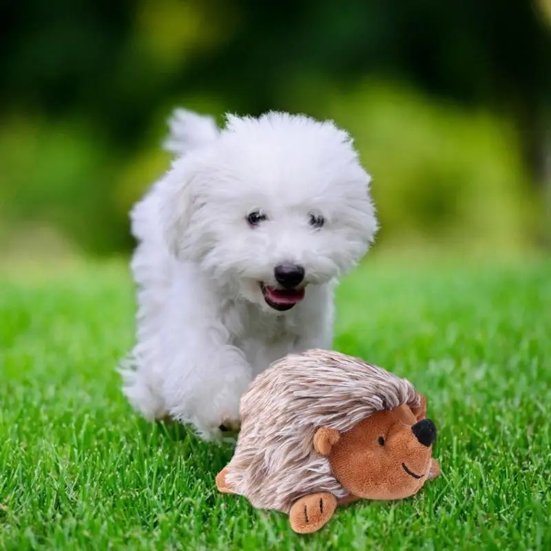 Funny Pet Soft Plush Dog Hedgehog Shape Plush Toy Molar Bite Resistant Puppy Chew Toys Pet Supplies 15*15cm