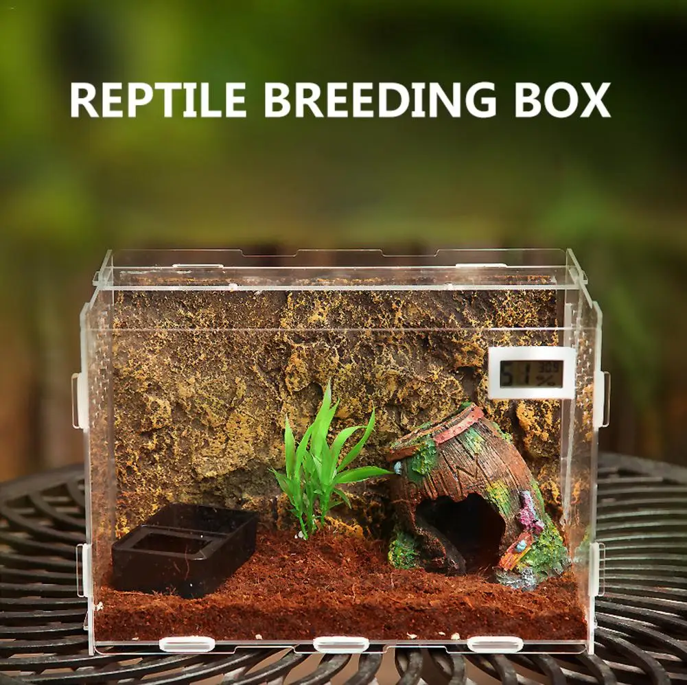 

Acrylic Reptile Breeding Box Transparent Spider Lizard Climbing Pet Feeding Box Support Dropshipping Wholesale