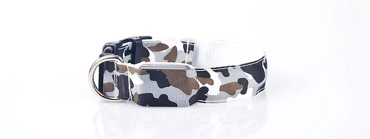 dog collar (13)