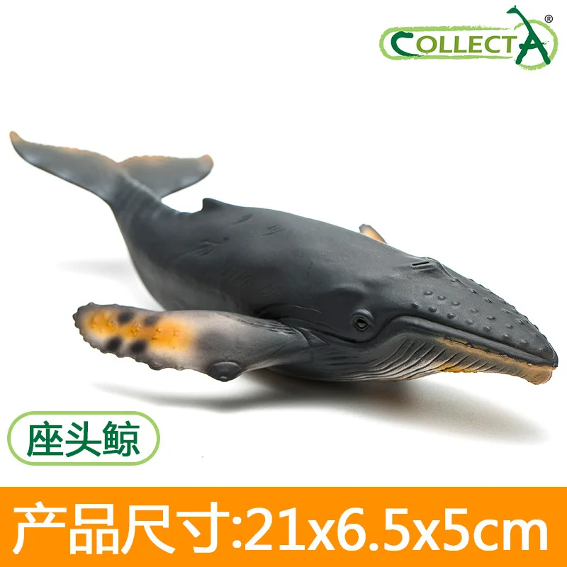Collecta I You He сплошная модель морской Кит модель животного статические Мальчики развивающие игрушки украшения - Цвет: Humpback Whales
