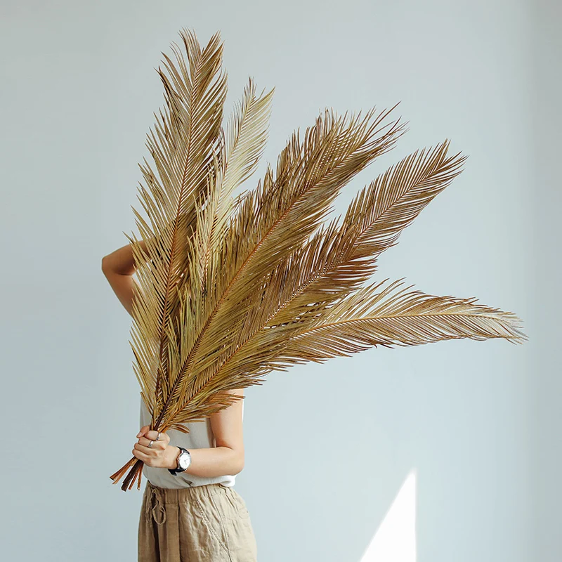 Pianta Naturale Secca Sago Cycas Branch Wedding Home Decor,Fruticose Dracaena Leaf Dry Palm Fan Leaves,Party Art Wall Hanging