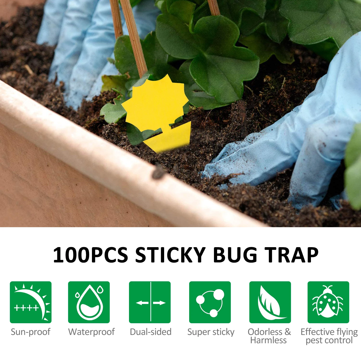 https://ae01.alicdn.com/kf/H63c4e61d35c741bf899f019e84c1e6cev/KKmoon-Sticky-Bug-Trap-Dual-sided-Sticky-Flying-Insect-Traps-Indoor-Outdoor-House-Plants-Fly-Paper.jpg