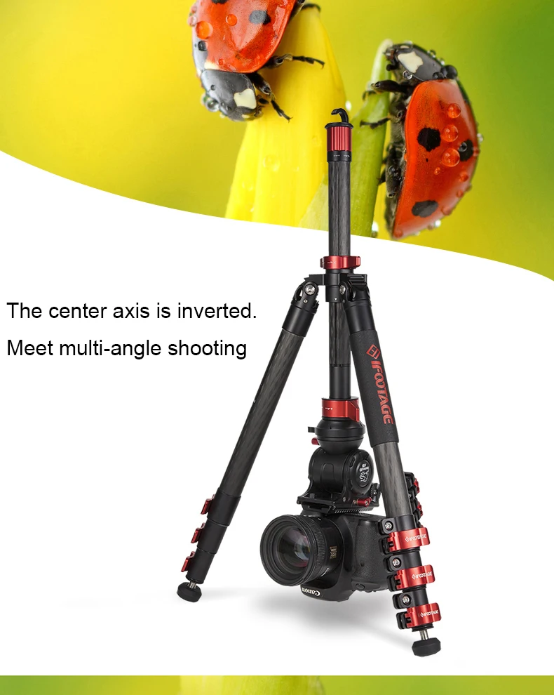 Ifootings gazel series TA5& TC5& TA6& TC6 Профессиональный дорожный штатив из углеродного волокна видео штатив добавить K5 головка для SONY CANON DSLR