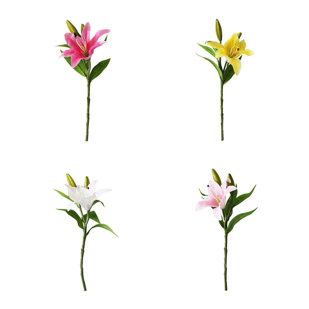 YYPA0060-1-YYPA0060-4-C1