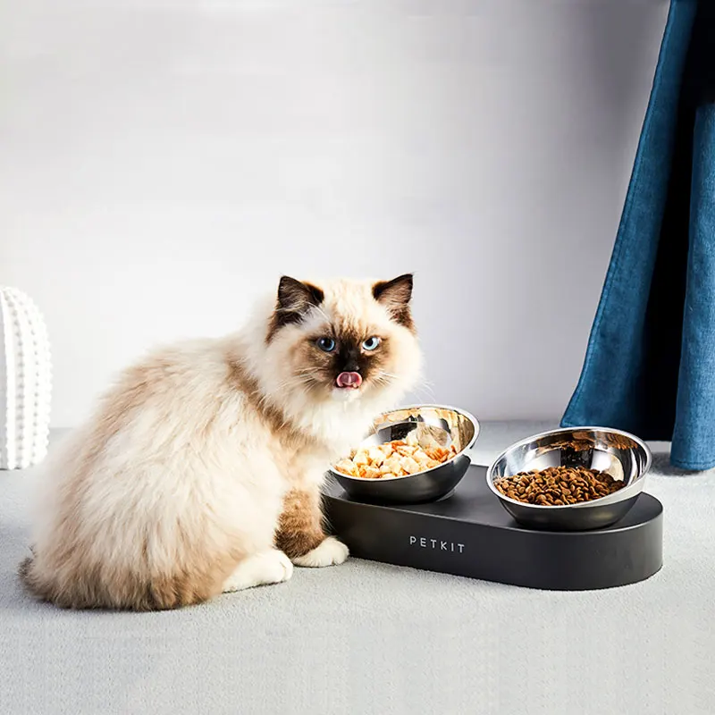 cat feeding plate