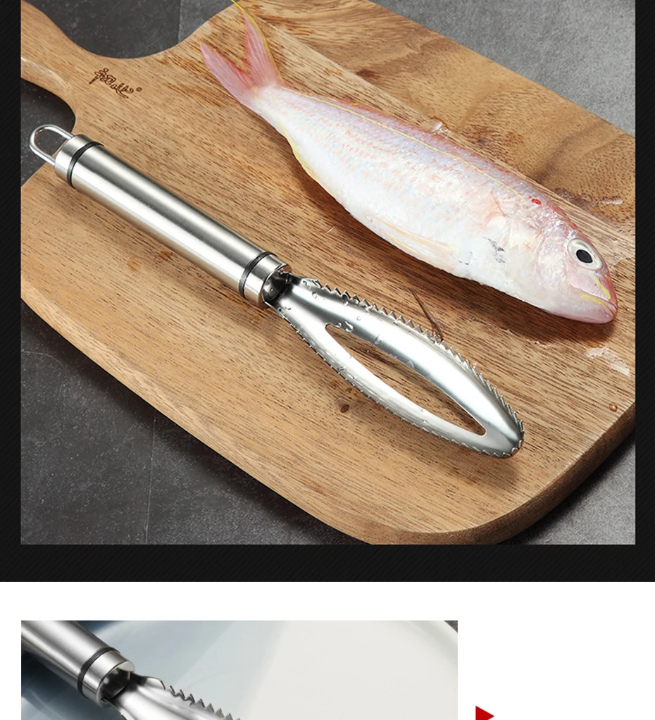 Écailler à Poisson électrique Sans Fil - Grattoir Rechargeable USB, Acier Inox, Pour Cuisine Et Restaurant - 8