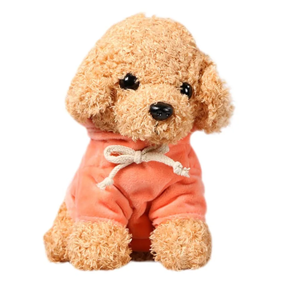 Teddy Dog Rag  (34)