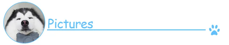 HTB13CgjbznD8KJjSspbq6zbEXXaJ