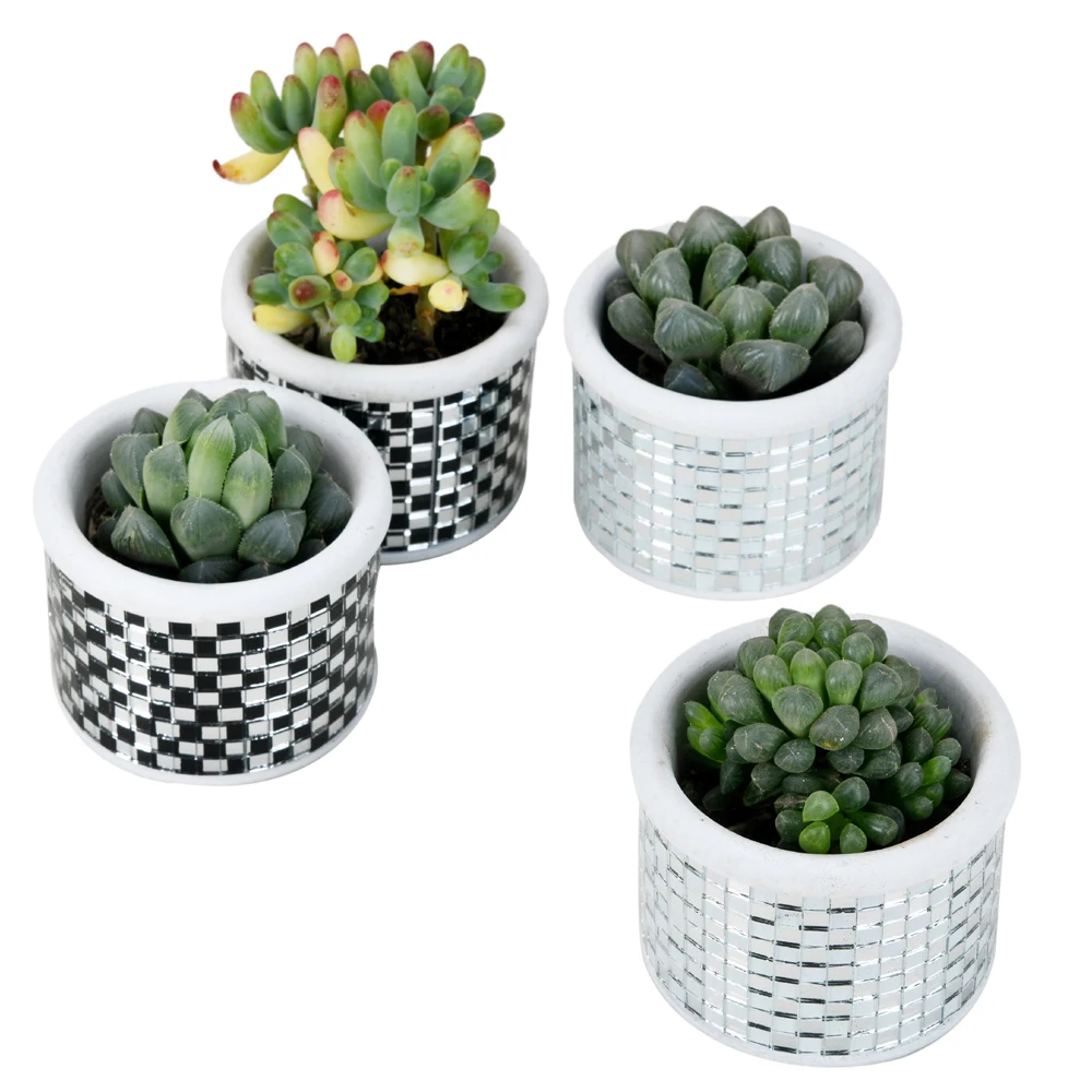 Modern Mosaic Glass Checkered Pattern Cement Succulent Cactus Planter,Pretty Plants/Flower Pot Tiny Flower Plant Containers